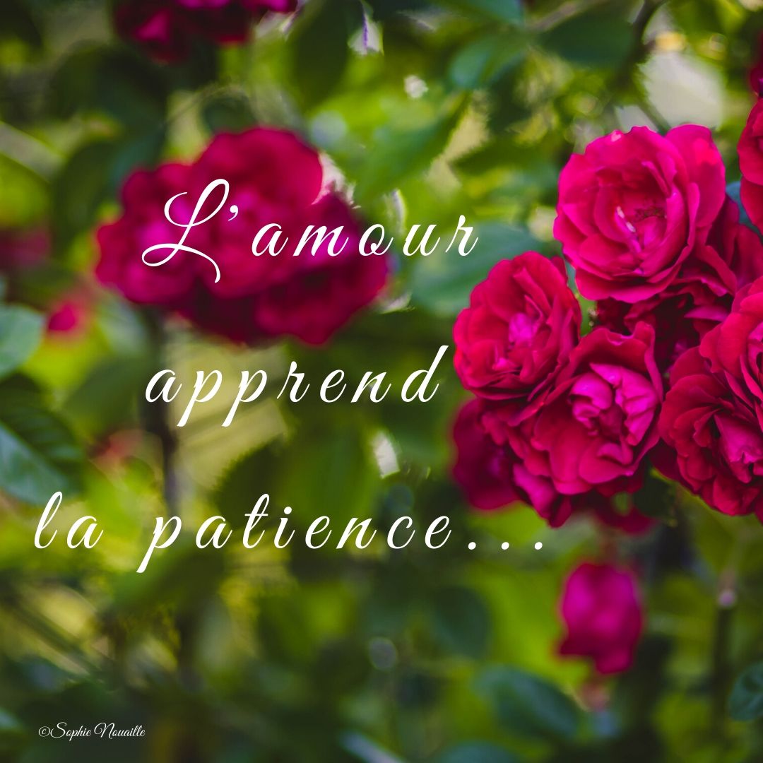 lamour-apprend-la-patience-1